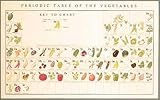 Periodic Table Of Vegetables by Naomi Weissman Art Print Poster 39.5 x 24.5