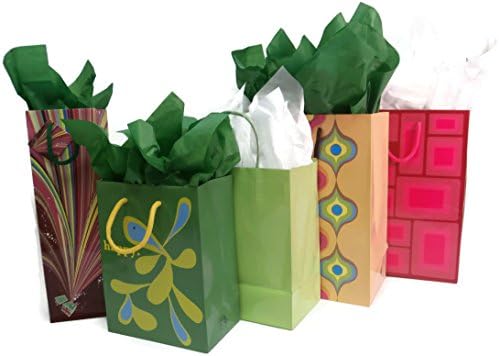 Gift Bag Bulk Sets With Matching Tissue Paper (Set of 5, Melon/GeoBlock/paleGrn/Explosion)