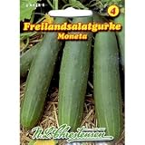Eigenschaften Chrestensen  / Freilandsalatgurke Moneta (Portion)