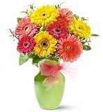 Delightful Daisies