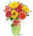 Delightful Daisies