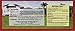 Caribbean Dreams Cerasee Tea, 24 Tea Bags (Pack of 3)