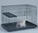 Small Cat Domain with Plastic Base