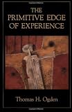 The Primitive Edge of Experience