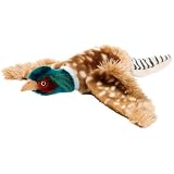 Coleman Pheasant Dog Toy