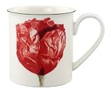 Villeroy & Boch Flora Poppy Design 10-Ounce Mug
