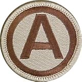 3rd Army Desert Shoulder Sleeve Insignia