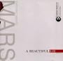 Beautiful Lie