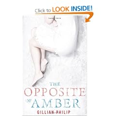 The Opposite of Amber
