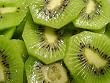 Kiwi Vines Set of Two. One Male and One Female