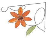 Bird Brain Sunflower Plant Bracket