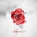 薔薇〜Rose〜 Ctype 【初回限定盤】