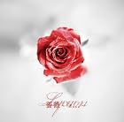 薔薇〜Rose〜 Ctype 【初回限定盤】(在庫あり。)