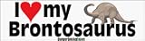 I Love My Brontosaurus - Refrigerator Magnets 7x2 in
