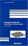 Caught by Disorder: Bound States in Random Media (Progress in Mathematical Physics)