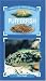 Pufferfish (Practical Fishkeeping)