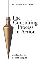 The Consulting Process in Action