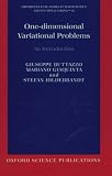 One-dimensional Variational Problems: An Introduction (Oxford Lecture Series in Mathematics and Its Applications, 15)