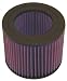 K&N E-2443 Replacement Air Filter