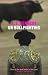 On Bullfighting (Yellow Jersey shorts)