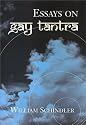 Essays on Gay Tantra