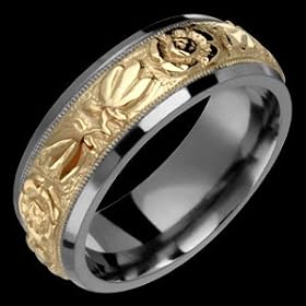 Yash Titanium Ring with 14K Gold Center by Alain Raphael