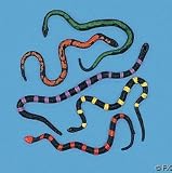 12 Stretchable Toy SnakesIMAGE