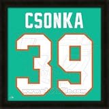 Larry Csonka Miami Dolphins 20x20 Framed Uniframe Jersey Photo