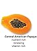 Organic Hydrate Daily Nutrient Moisture Cleanser with Japanese Rooibos Tea, Pomegranate & Papaya