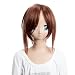Cosplay Wigs Hair wig Dynasty Warriors 6 Ling Tong Brown Ponyutail