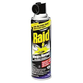 Johnson S C Inc 01353 Wasp And Hornet Killer