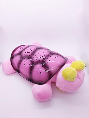 The Enchanting Nightlight Polly Turtle 9" Big Lovely Eyes Music Box Toy