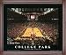 Print of Maryland Terrapins Comcast Center Image
