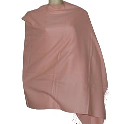 Shawl Wrap Stole Silk Pashmina Accessory (pswl001)