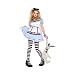 Alice In Wonderland Costume