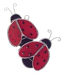 Flocking Ladybugs