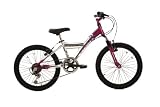 Barracuda GX20 6-speed Alloy Girls Cycle 11 Frame (Ages 5-7 years)