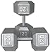 Pair 120 lb. Cast Iron Dumbbells
