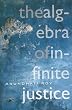 The Algebra of Infinite Justice