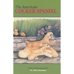 American Cocker Spaniel