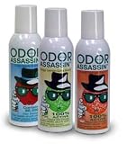 Review Jay Mfg 115032 / Odor Assassin Deodorizing Spray, ORANGE SCENT - Case Quantity (Model 10454210R00)