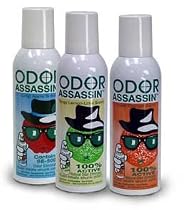 Odor Assassin Deodorizing Spray, ORANGE SCENT - Case Quantity (Model 10454210R00)
