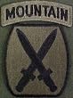 10th Mountain Division Subdued Shoulder Sleeve Insignia
