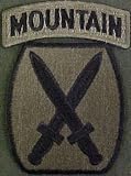 10th Mountain Division Subdued Shoulder Sleeve Insignia