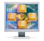 NEC LCD1960NXi 19" LCD Monitor (White)