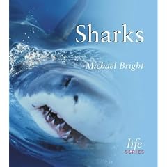 Sharks (Life)