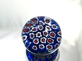 Murano Design Glass Art Rainbow Millefiori Paperweight PW-1050