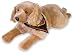 golden retriever - Harley Davidson 