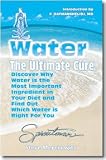 Water The Ultimate Cure: Discover Why Water is the Most Important Ingredient in your Diet - by Steve Meyerowitz