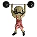Wally String Doll Gang Keychain (colors may vary)